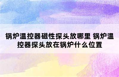 锅炉温控器磁性探头放哪里 锅炉温控器探头放在锅炉什么位置